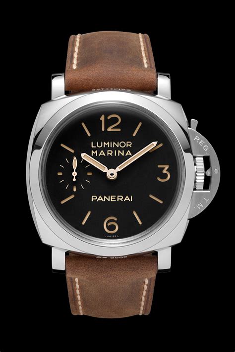 panerai excursions reviews.